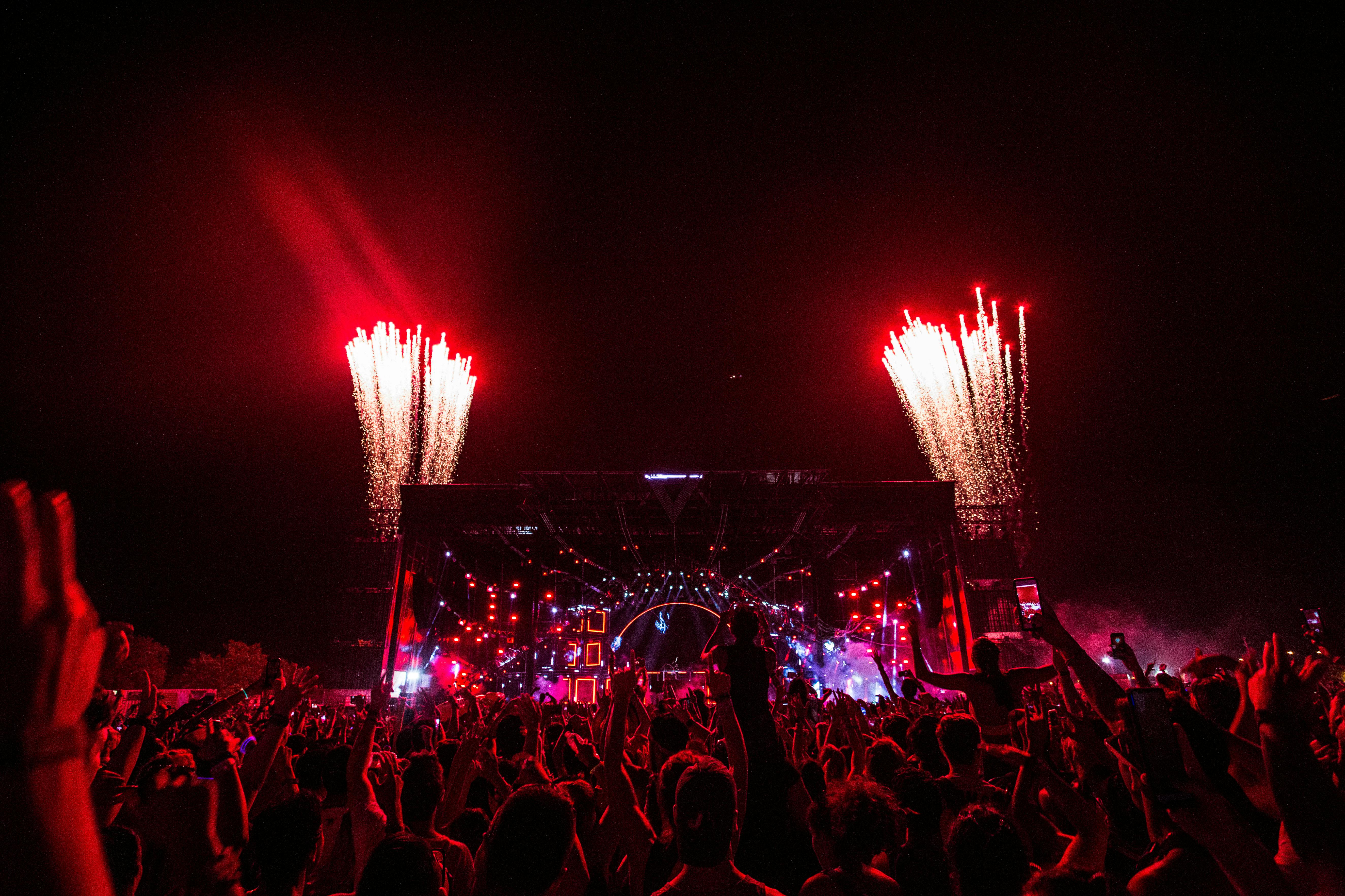Sunburn Festival